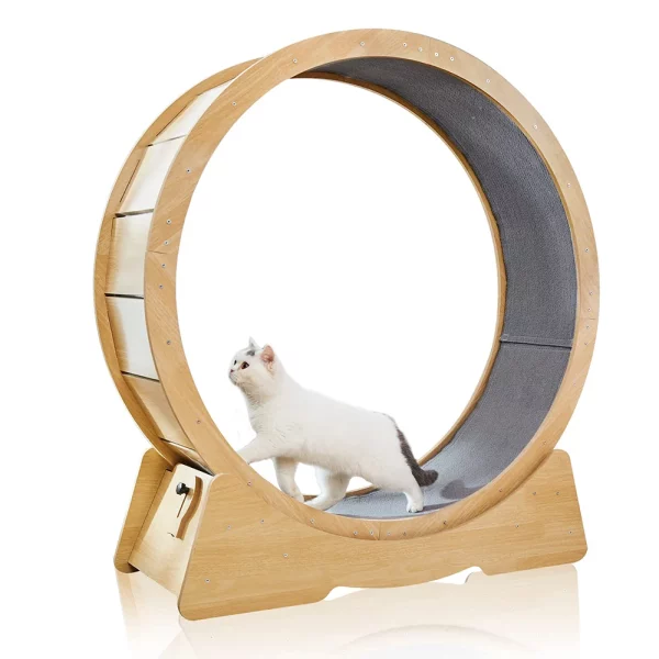 Roue Fitness Chat Silencieuse en bois