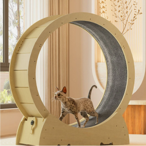 Roue Fitness Chat Silencieuse en bois