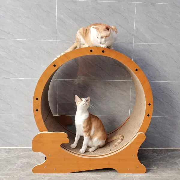 Roue pour Chat Exercice Silencieuse