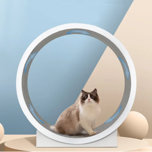 Roue à Chat Grande Taille