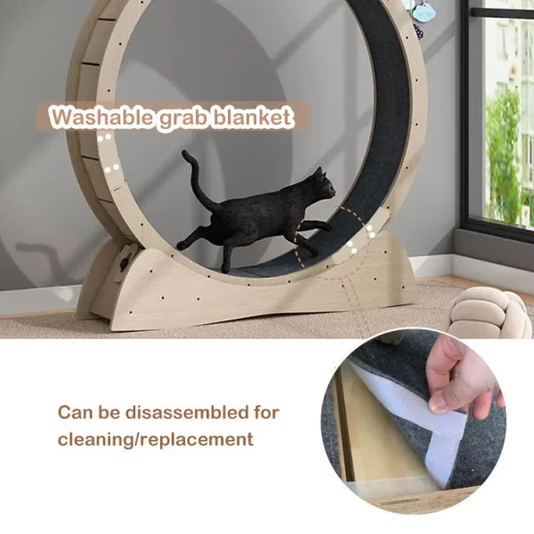 Roue Chat Fitness Silencieuse