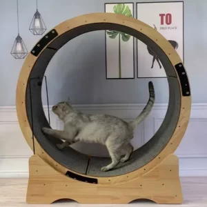 Roue à Chat Rotative