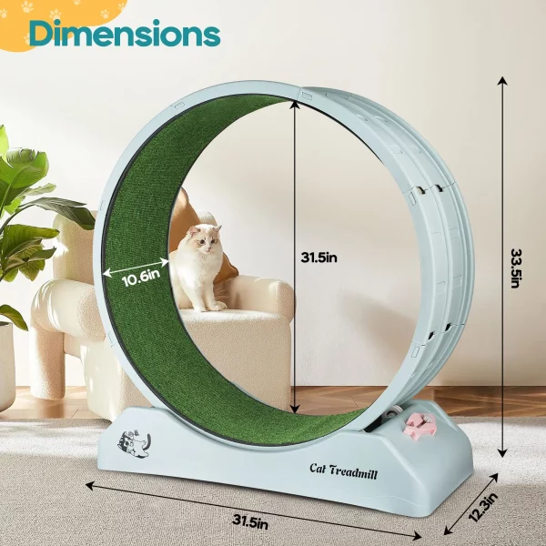 Roue Chat Exercice Jeu