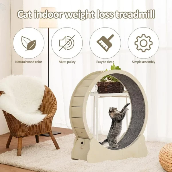 Roue d'exercice et grattoir pour chat