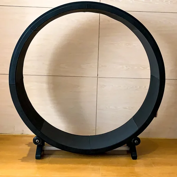 Roue d'exercice pour chat interieur