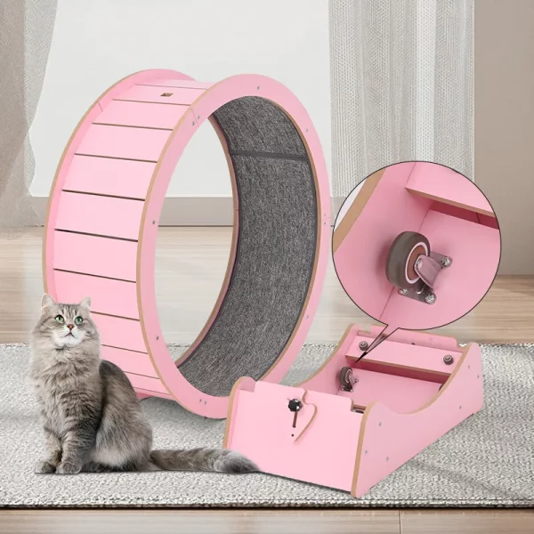 Roue à Chat Exercice Interactif