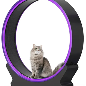 Roue à Chat Fitness