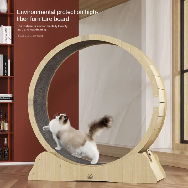 Roue Chat Fitness en bois