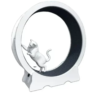 Roue Chat Exercice Intérieur