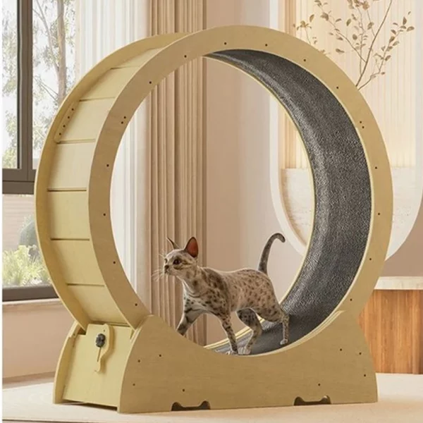 Roue d'Exercice Écologique Chat