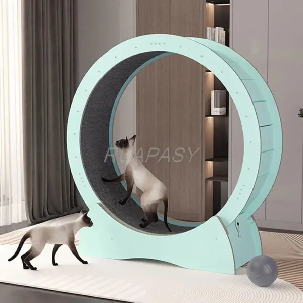 Roue d'exercice pour chat silencieuse