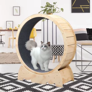 Roue à chat en bois pour entraînement