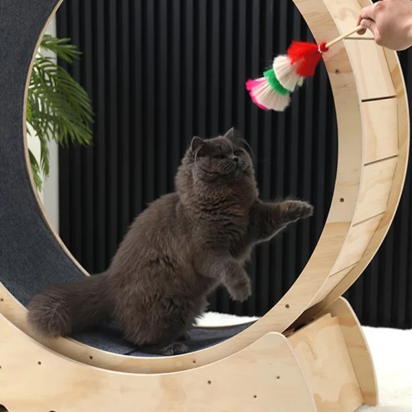 Roue à chat en bois pour entraînement