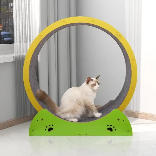 Roue d'Exercice Chat Sportif