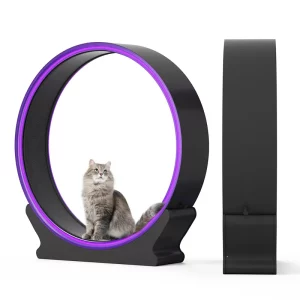 Roue d'exercice silencieuse pour chat