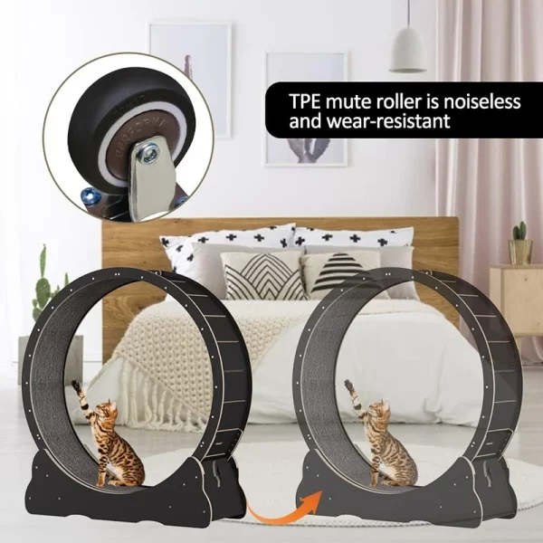 Roue Chat Exercice Silencieuse