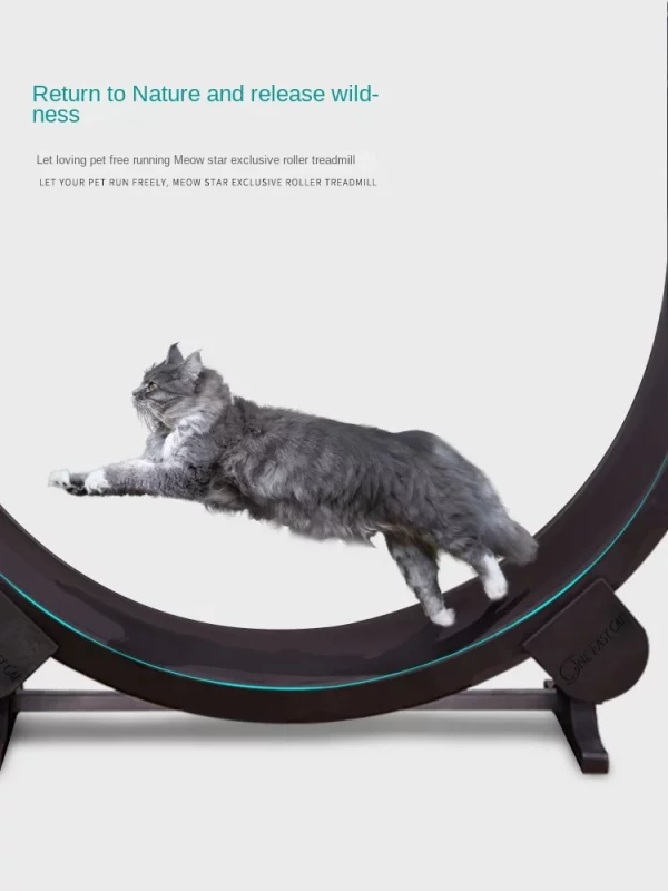 Roue circulaire à Chat Silencieuse